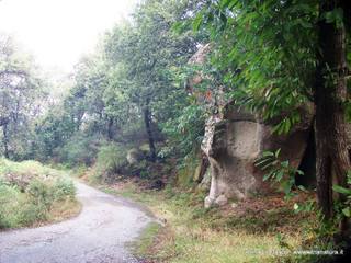 Sant Anna Bocena
